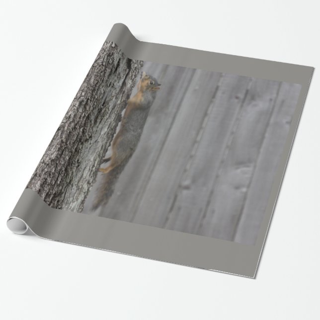 Papper radbrytning av ekorre presentpapper (Utrullad)