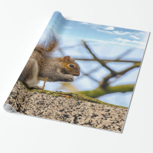 Papper radbrytning av ekorre presentpapper