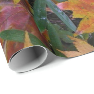 Papper radbrytning av ekorre presentpapper