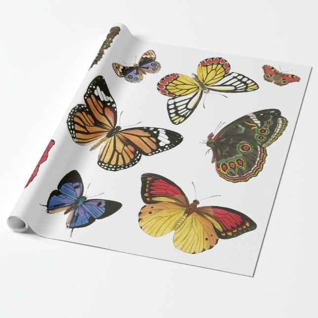 Papper radbrytning av fjärilar presentpapper (Utrullad)