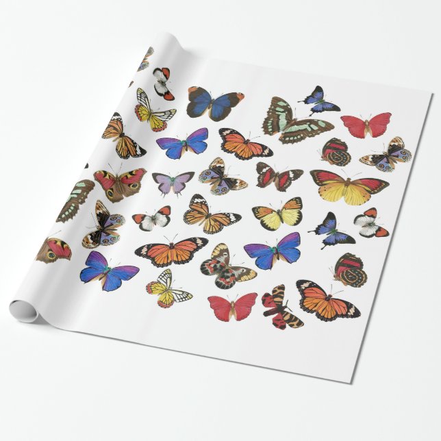 Papper radbrytning av fjärilar presentpapper (Utrullad)