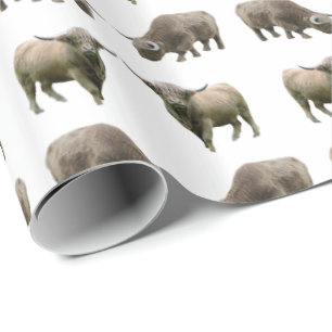 Papper radbrytning av höglandstreck (välj färg) presentpapper