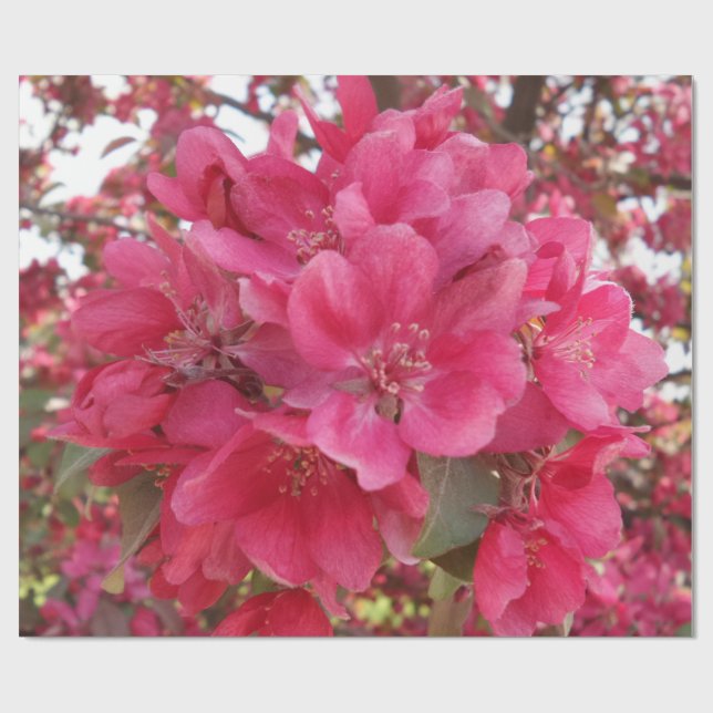 Papper radbyte för vårtid presentpapper (Platt)