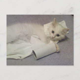 papper roligt för toalett vykort