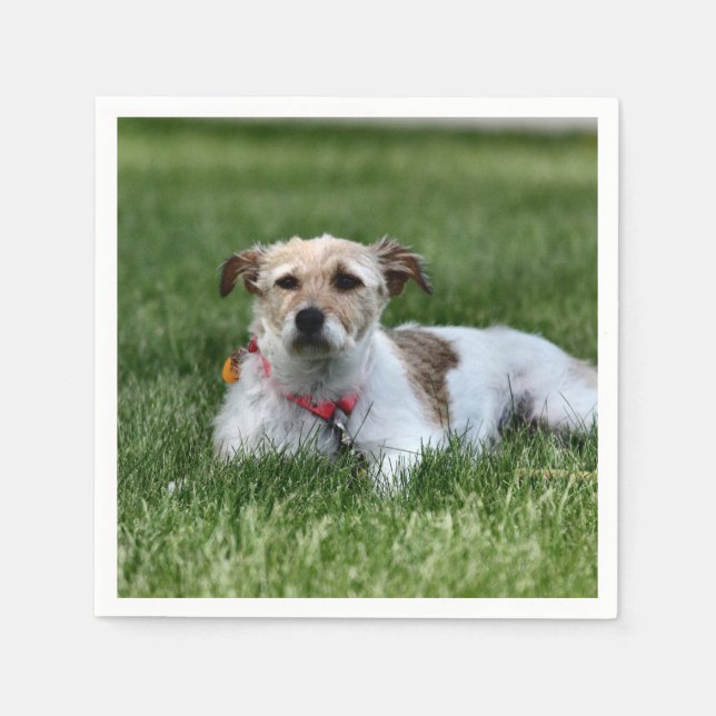 Papper Underlägg av jackens kvadrat Pappersservett (Framsidan)