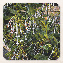 Papper Underlägg av prydnadsväxter och Blommar