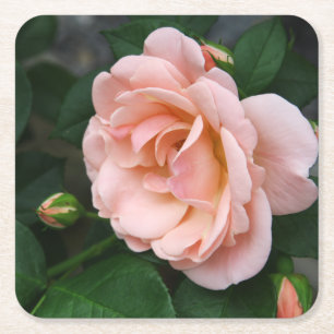 Papper Underlägg  Ro Blommigt Kvadrat