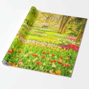 Papper utrullning av vår och Daffodils Park Presentpapper