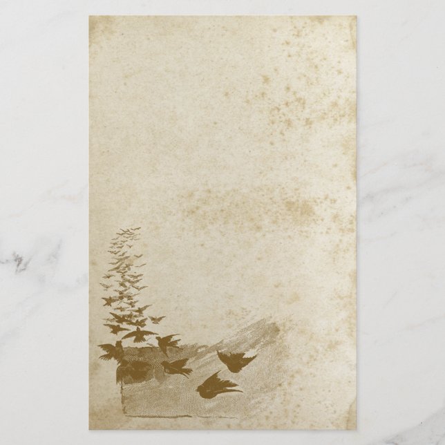 Papper vacker Nedfläckad för fågelstall (Framsida)