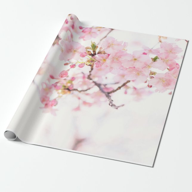 Papper VARNING: CHERRY-BLOMMAR  Presentpapper (Utrullad)