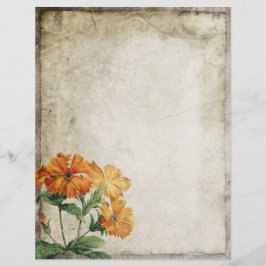 Papper vintage Flowers Old Parchment Scrapbook
