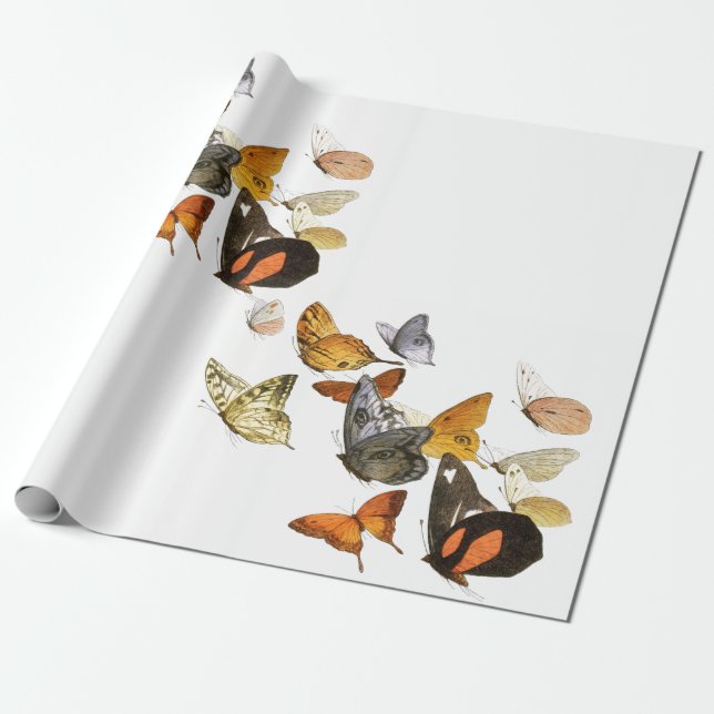 Papper VITA MED SMÖR Presentpapper (Utrullad)