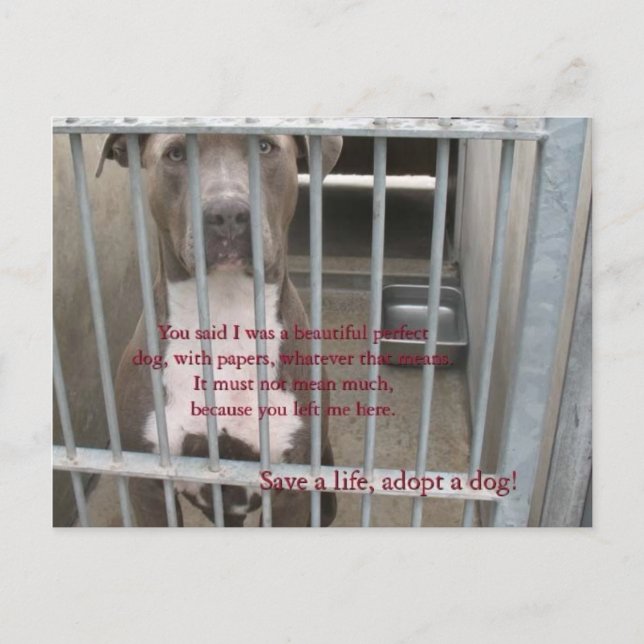 papper vykort (Framsida)