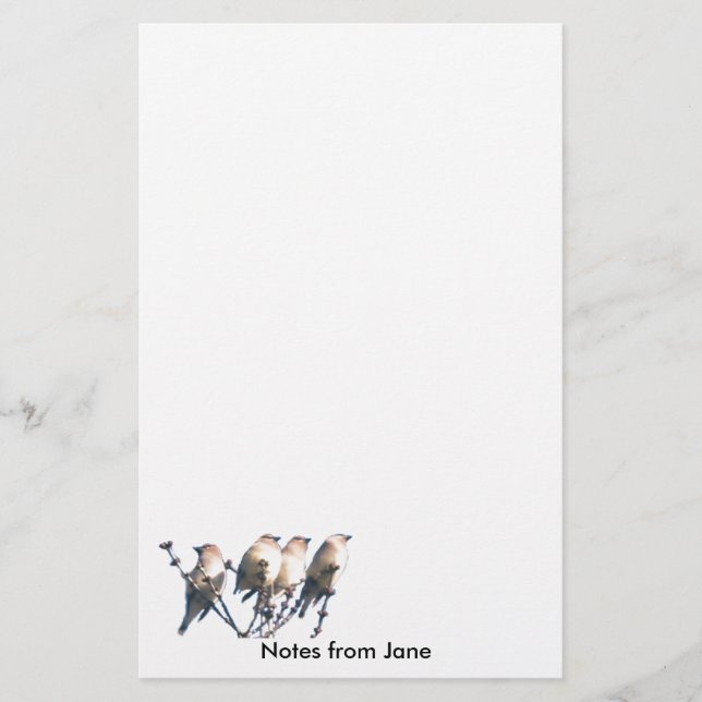 Papper - WaxWing - Anteckningar från ... (Framsida)