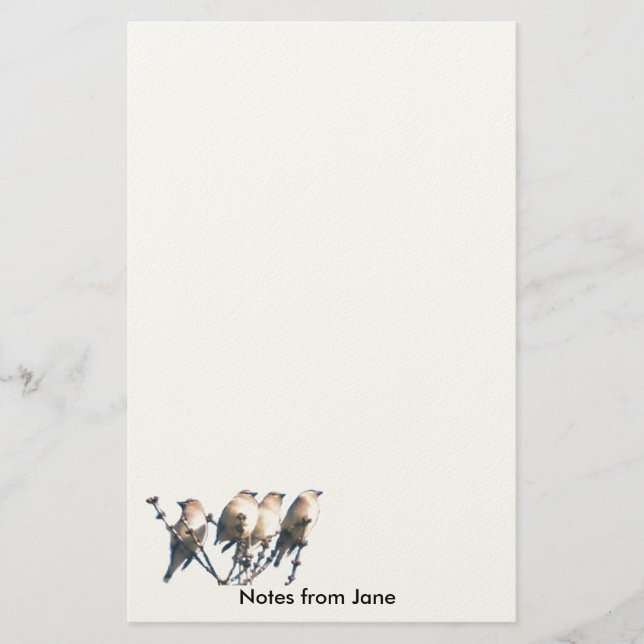 Papper - WaxWing - Anteckningar från ... (Framsida)