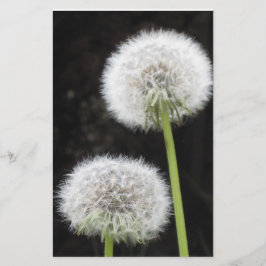 Papperi - Dandelioner Brevpapper