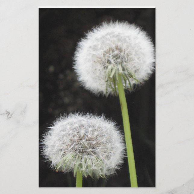 Papperi - Dandelioner Brevpapper (Framsida)