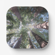 Pappers tallrikar och skålar Kalifornien Redwoods