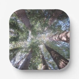 Pappers tallrikar och skålar Kalifornien Redwoods
