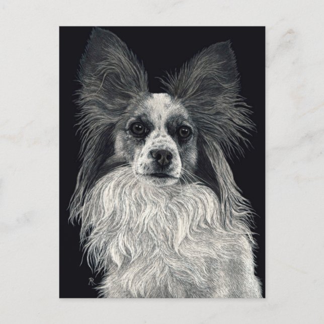 Papperskort - "Sparkles" Vykort (Framsida)