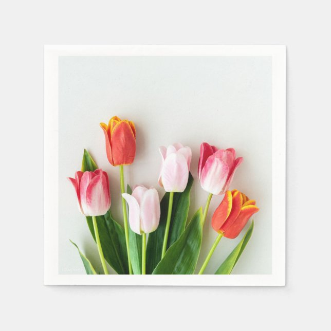 Pappersservett (Framsidan)