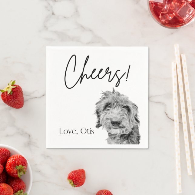 Pappersservett (Insitu)