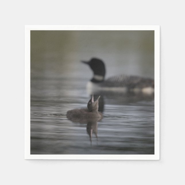 Pappersservett för den stora lunten (Framsidan)