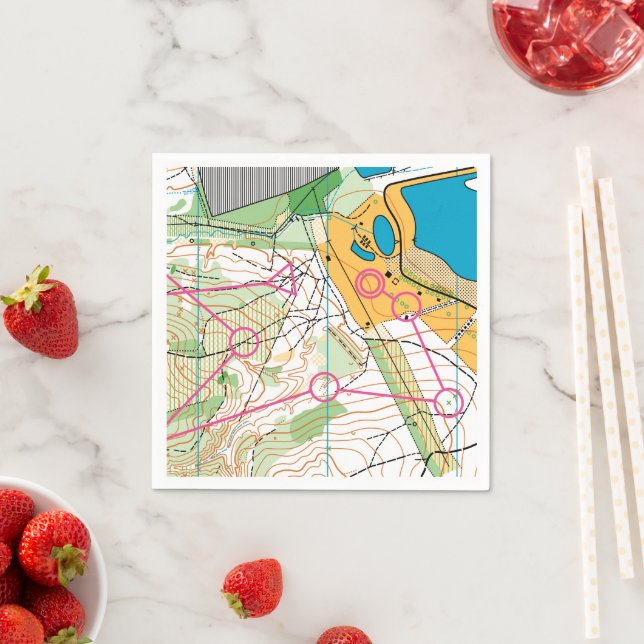 Pappersservett - Orientering karta (Insitu)