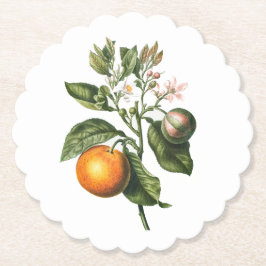 Pappersunderlägg: BITTER ORANGE BLOMMAR Underlägg Papper