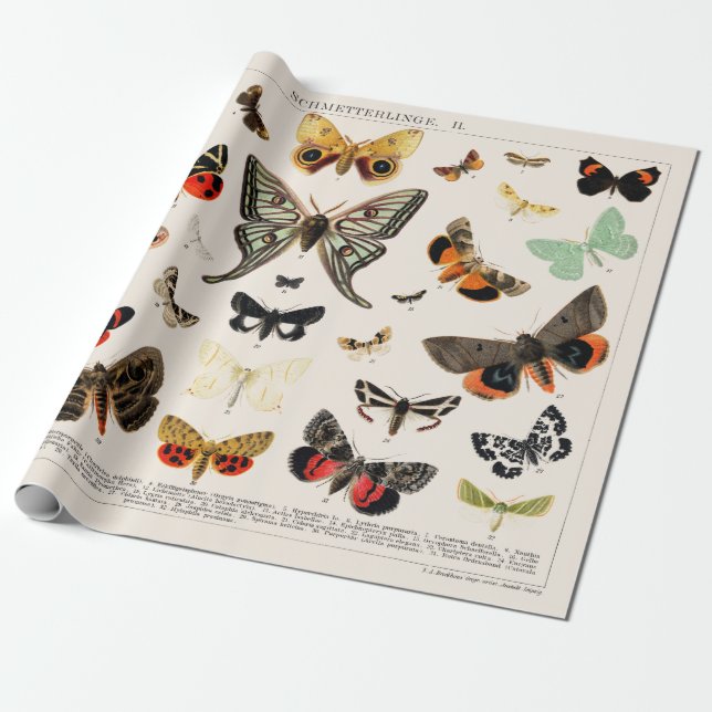 Pappert: ANTIQUE BUTTERFLY OCH MOTH CHART Presentpapper (Utrullad)