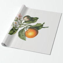 Pappert: BITTER ORANGE BLOMMAR