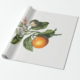 Pappert: BITTER ORANGE BLOMMAR Presentpapper