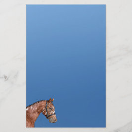 Pappert blått knabstrupper Stallion Stationery Brevpapper