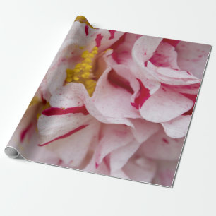 Pappert för kassering av Camellia Wrapping Presentpapper
