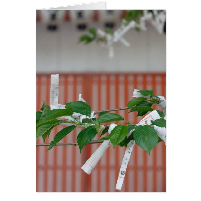 Pappert förmögenhetkort OBS kort (Framsidan)