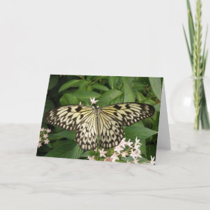 Pappert Kite Butterfly-hälsningskort Kort