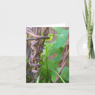 Pappor Barbed Wire Kort