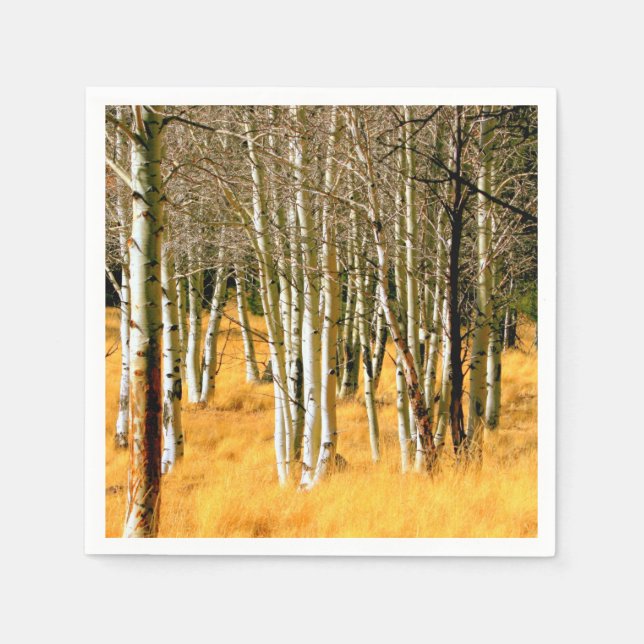 pappra blöjor av aspen skogen pappersservett (Framsidan)