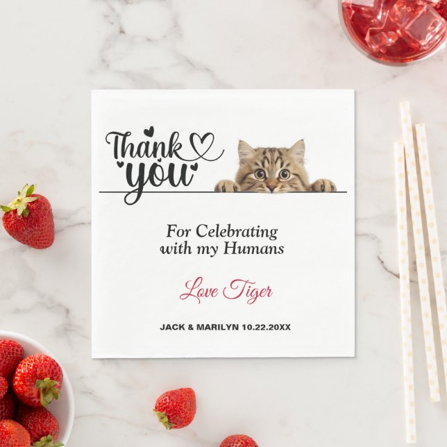 Pappra blöjor av  peeking Cat Pappersservett (Insitu)