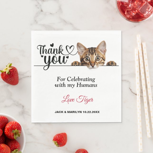 Pappra blöjor av rostat pektingkatjon pappersservett (Insitu)