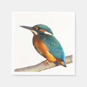 pappra blöjor för ’Kingfisher’ Pappersservett