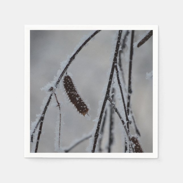 Pappra blöjor för vinterfoto pappersservett (Framsidan)
