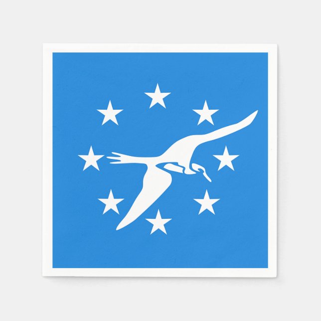 Pappra blöjor med flagga av Corpus Christi Pappersservett (Framsidan)