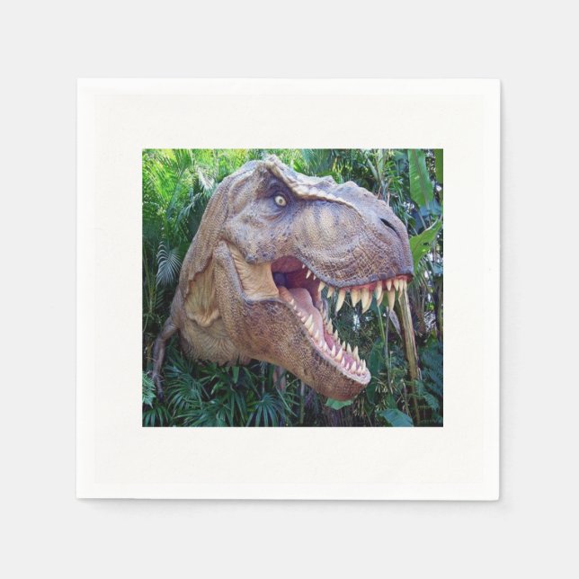 Pappra blöjor pappersservett (Framsidan)