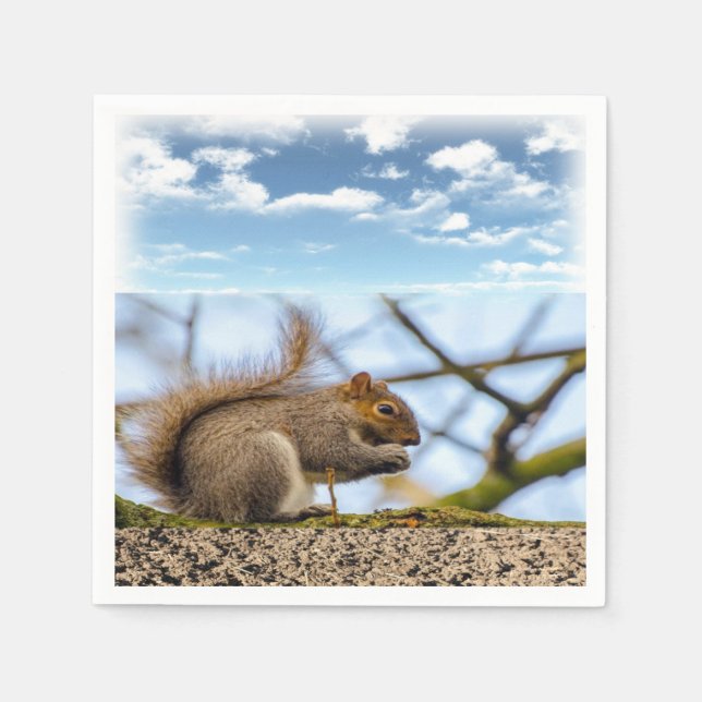 Pappra blöjor pappersservett (Framsidan)