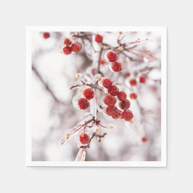 Pappra blöjor pappersservett (Framsidan)