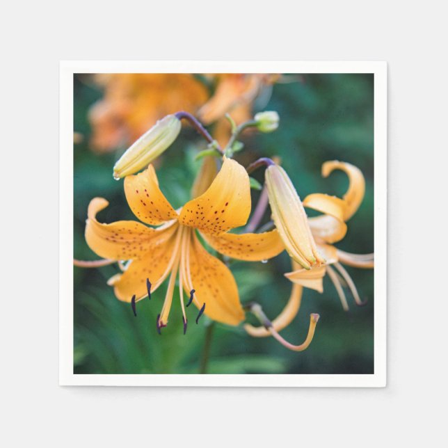 Pappra blöjor pappersservett (Framsidan)