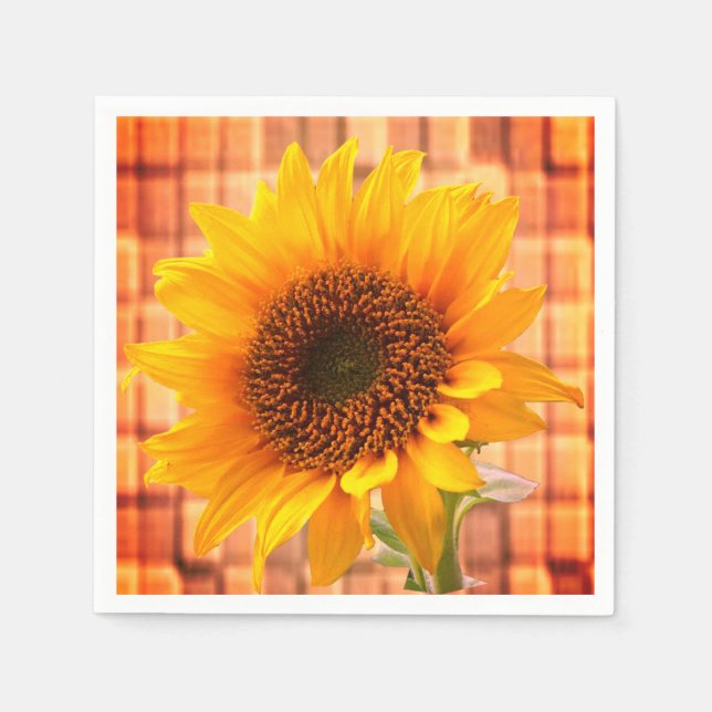 Pappra blöjor pappersservett (Framsidan)