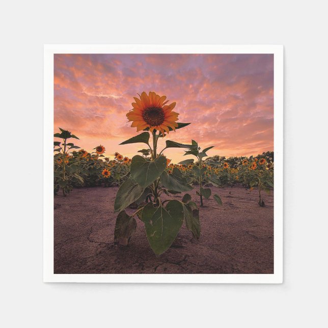 Pappra blöjor pappersservett (Framsidan)