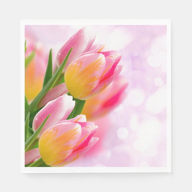 Pappra blöjor pappersservett (Framsidan)